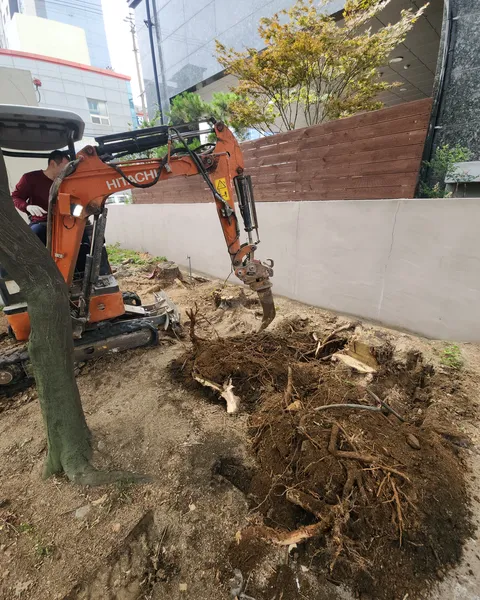 고사목 뿌리 제거 작업